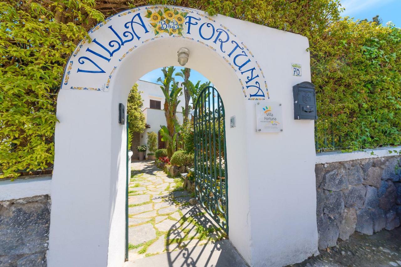 Villa Fortuna Holiday Resort Ischia Exterior foto